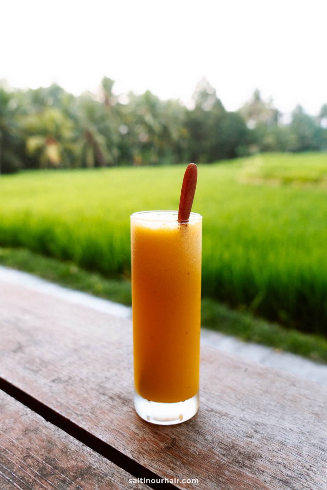 fruit juice bali