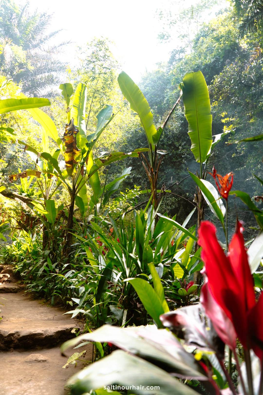 kanto lampo waterfall bali