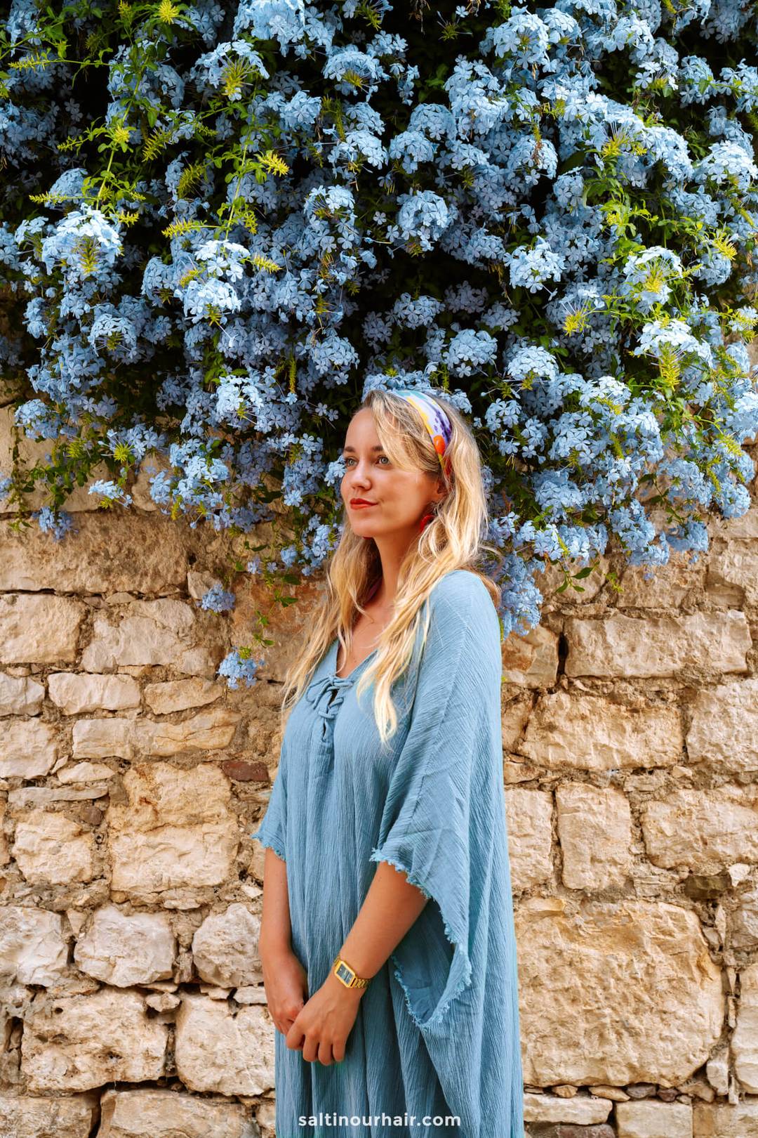 Flowers istria Croatia 