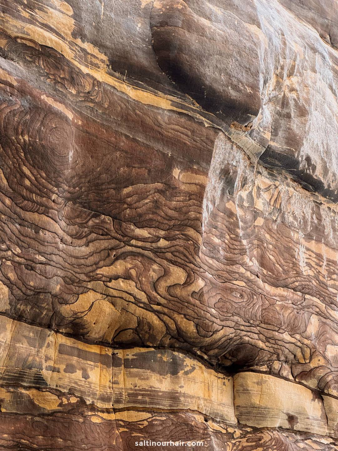 canyon details Wadi Mujib Jordan