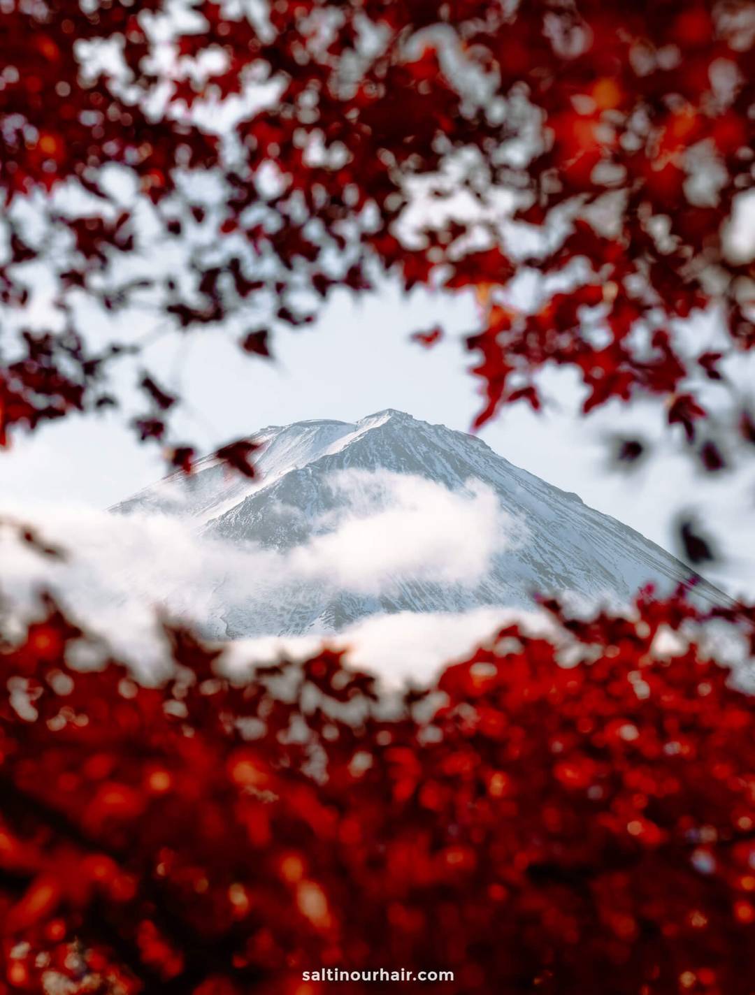 Snow-capped Mount Fuji, Japan, rises through a frame of red autumn leaves, with clouds partially obscuring the majestic peak.