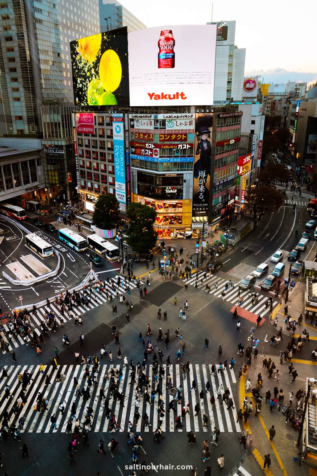 best things to do tokyo japan shibuya crossing 