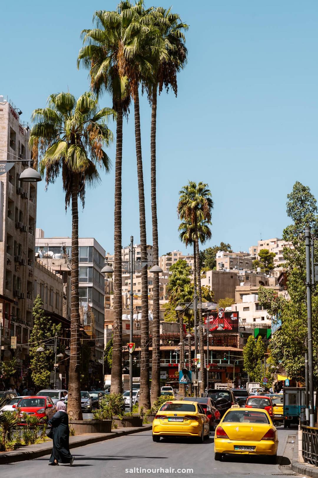 busy street with taxis and palm trees amman jordan