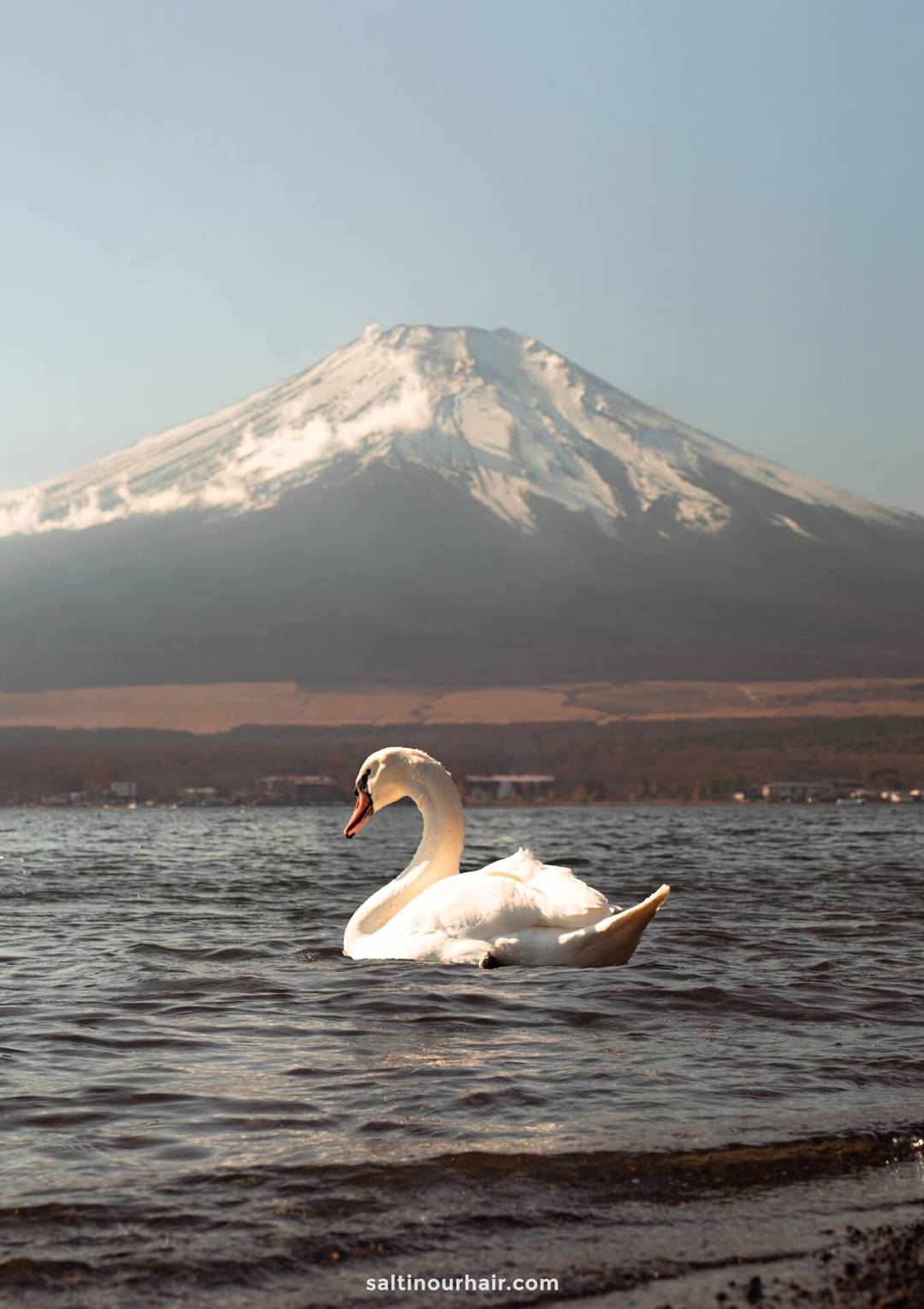things to do around mount fuji japan swan Nagaike Water Park