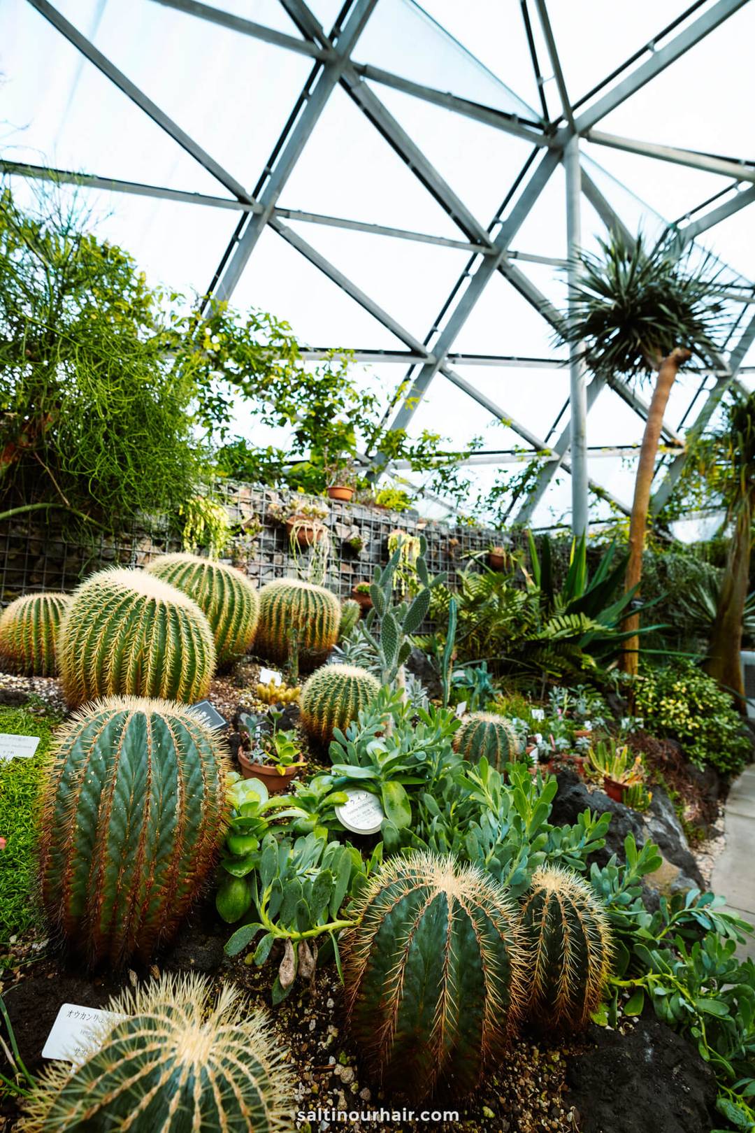 green house Shinjuku Gyoen tokyo