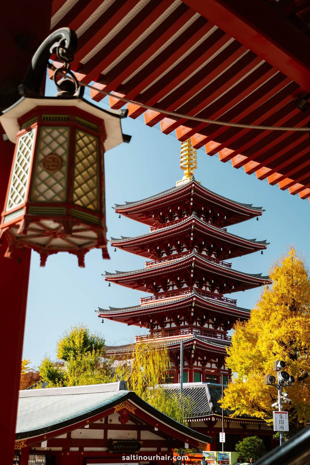 A traditional Japanese pagoda stands among autumn trees at a temple in Tokyo, with a decorative lantern hanging in the foreground under the temple roof&mdash;one of the best places to see autumn colors in Japan.