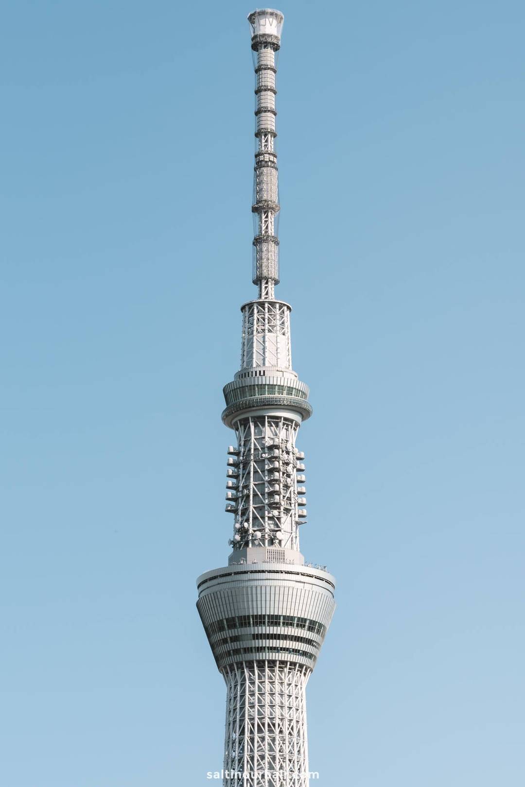 skytree