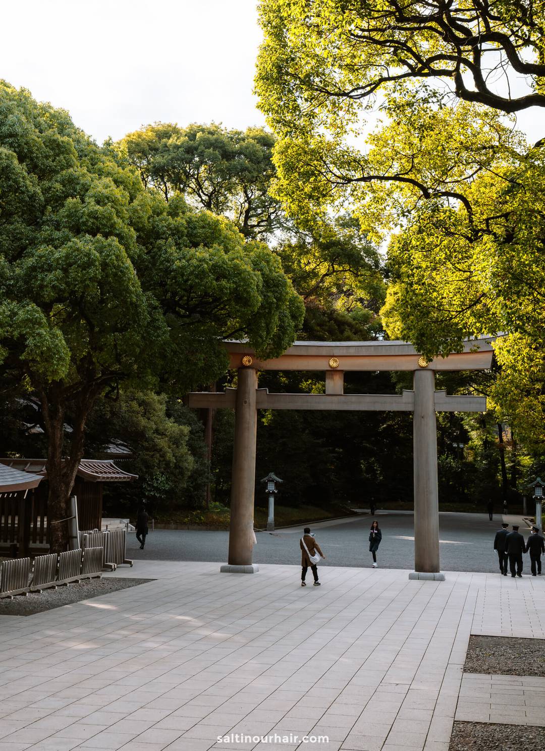 things to do tokyo meiji shrine 