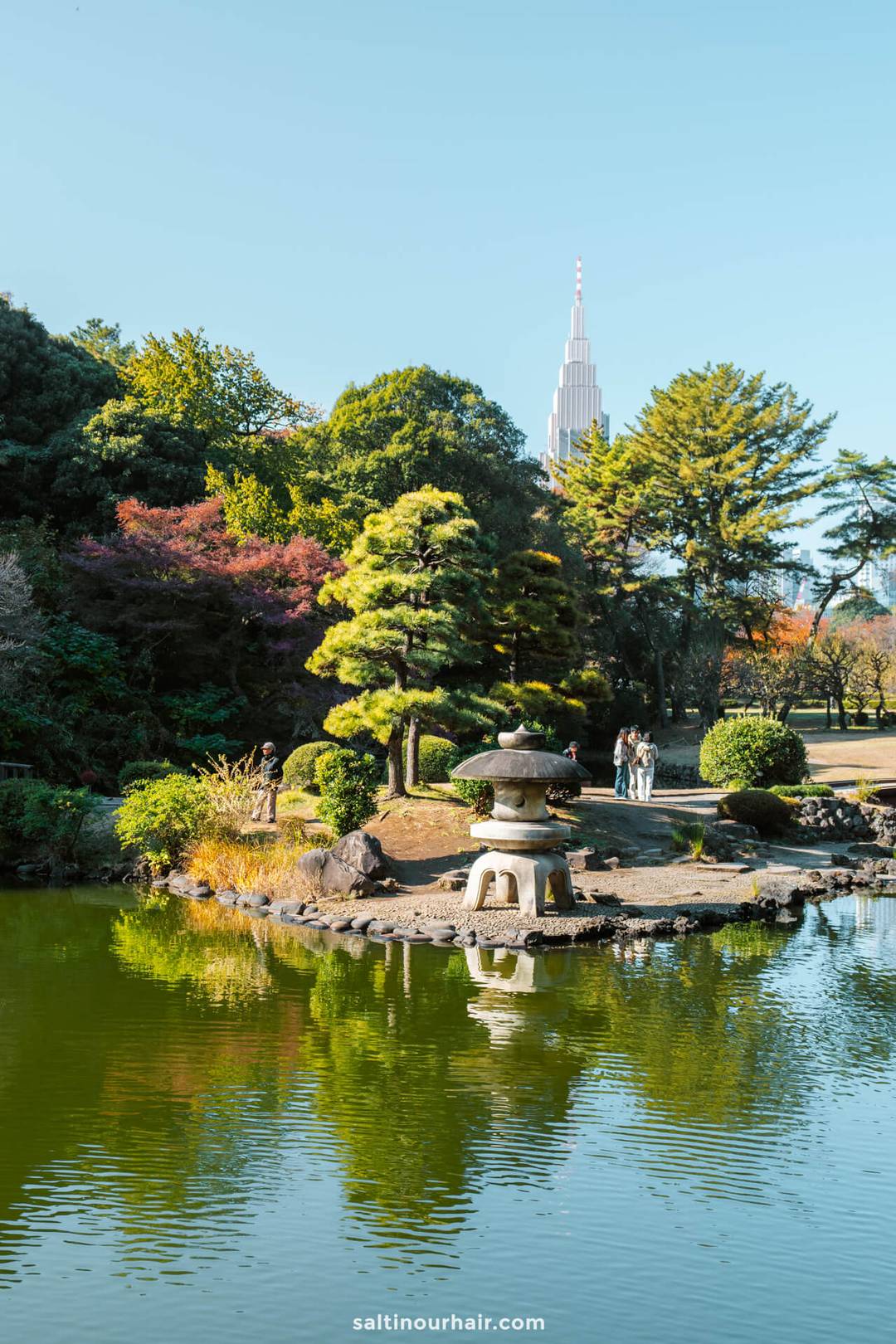 Shinjuku Gyoen park tokyo japan