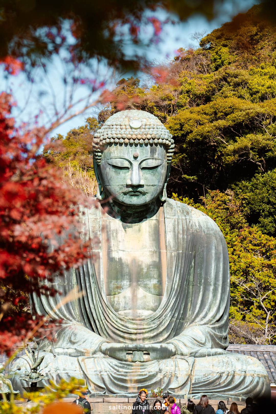 A large bronze Buddha statue sits outdoors at Kotoku-in, Kamakura, Japan, surrounded by trees and autumn foliage
