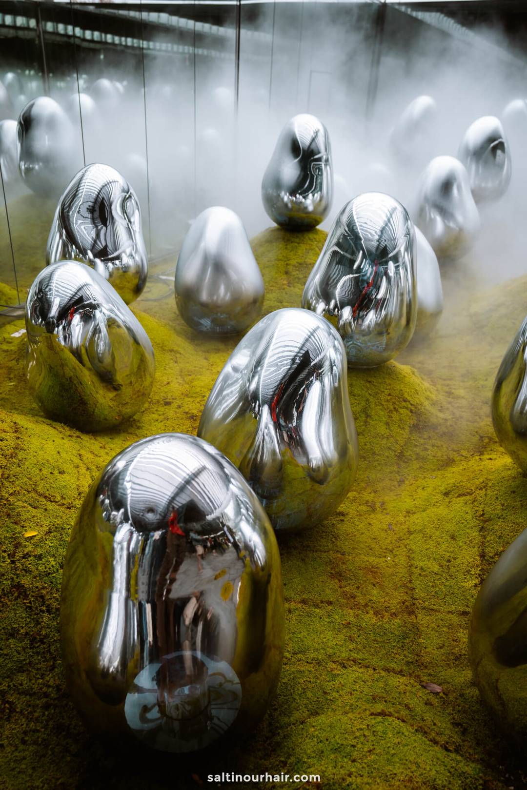 visit teamlab tokyo