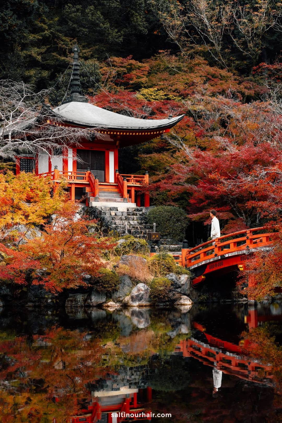 A traditional Japanese pavilion with red accents stands by a pond amid colorful autumn foliage at Daigo-ji Temple, as a person crosses an arched red bridge&mdash;a serene scene of autumn in Japan.