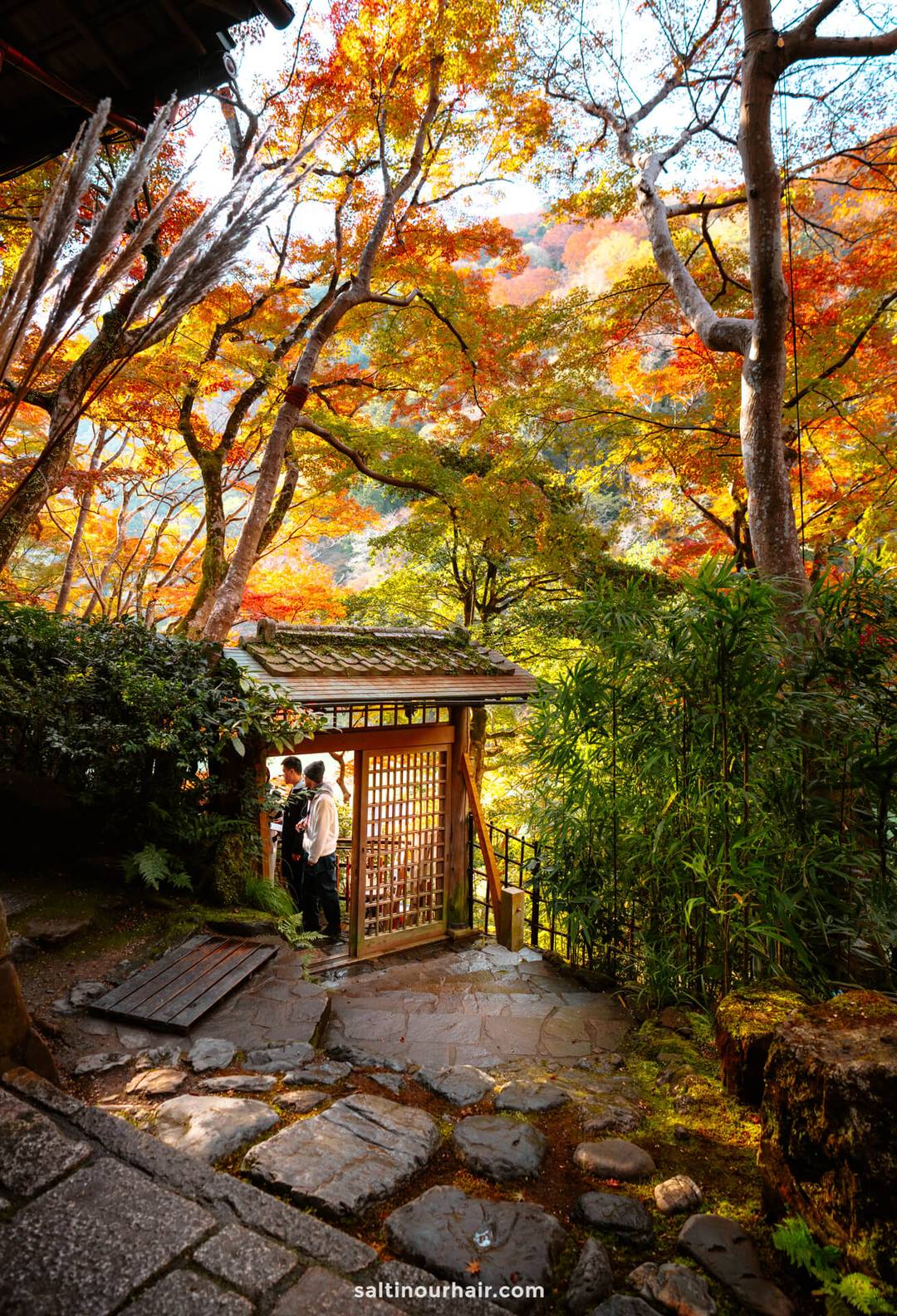 Two people stand near a wooden gate surrounded by stone paths, trees, and vibrant autumn foliage in a traditional Kyoto, Japan garden setting.