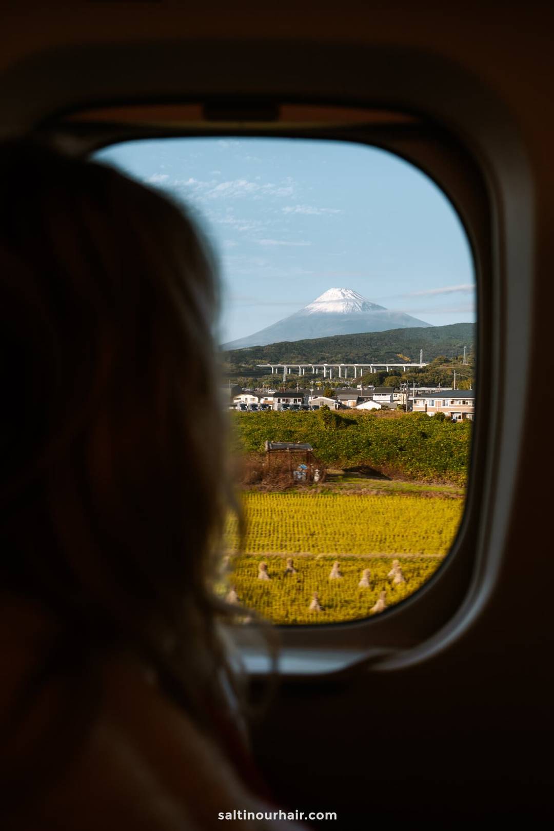 visit mount fuji by train