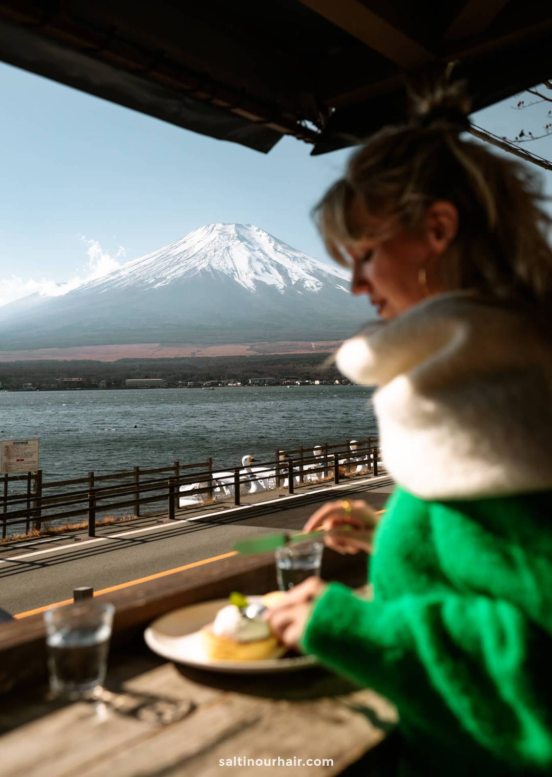 restaurant view mount fuji japan