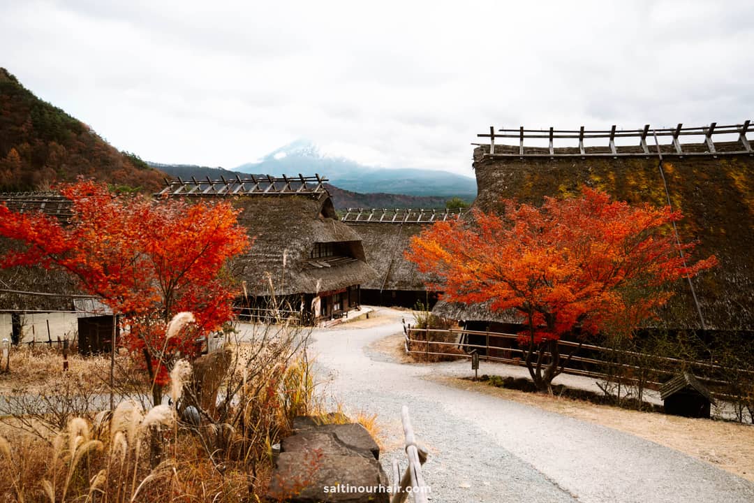 things to do around Mount Fuji saiko iyashi-no-sato nenba