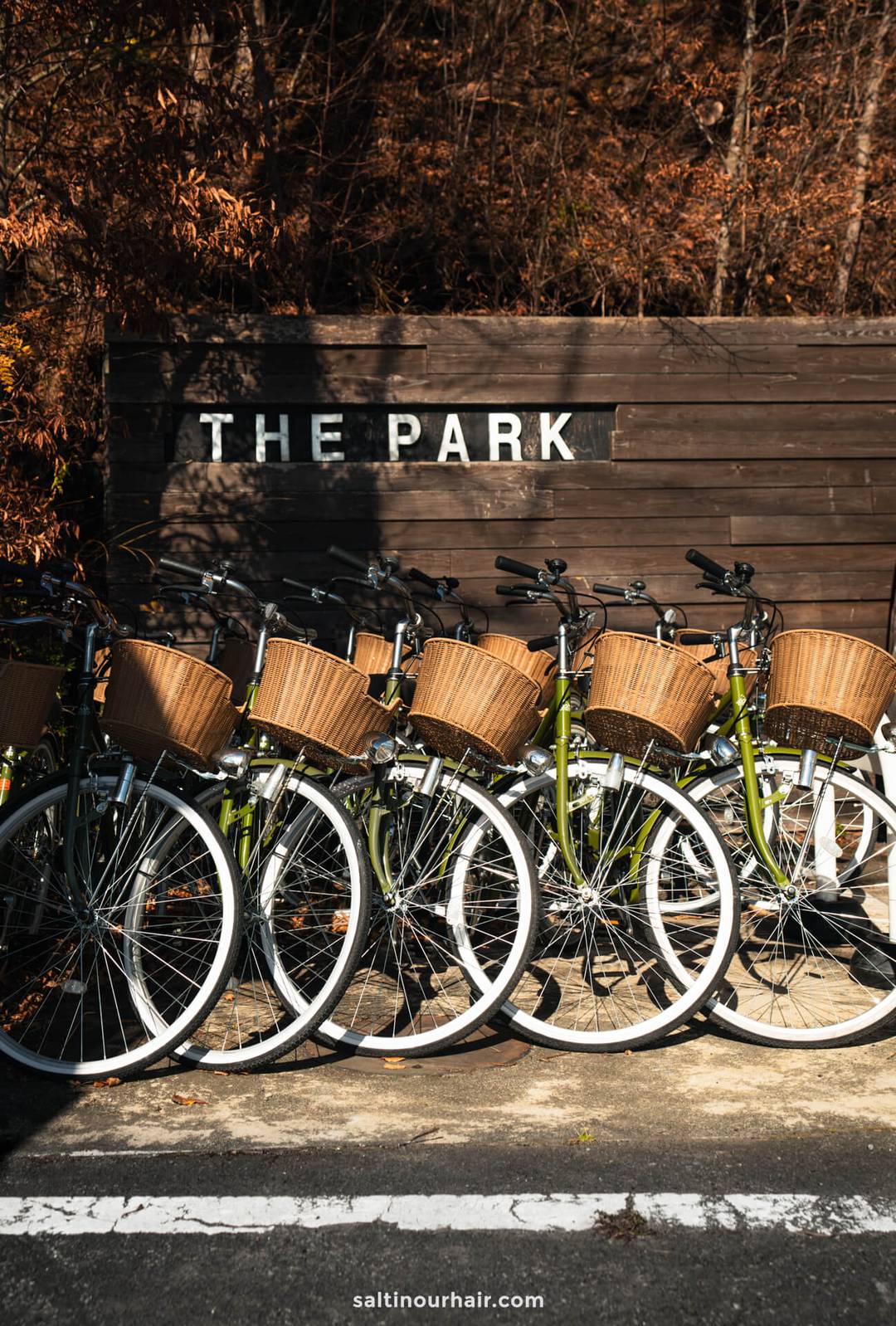bike rental