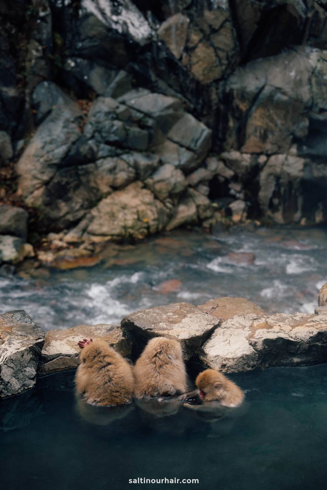 warmwaterbron japan