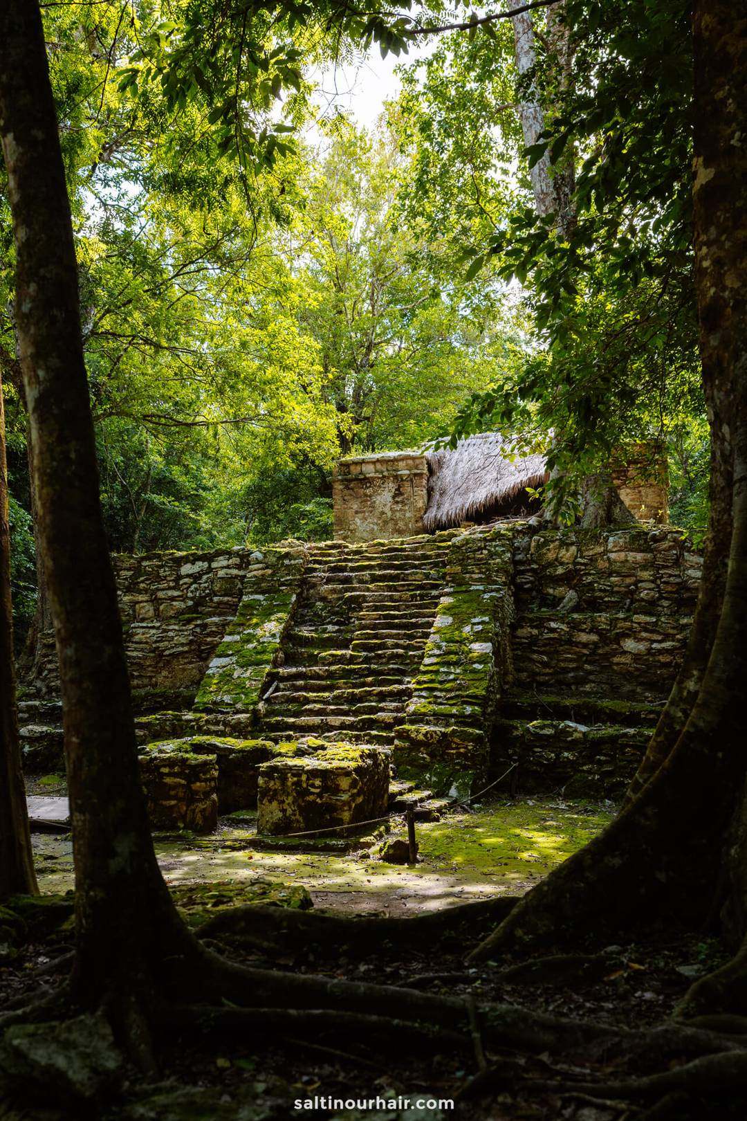 jungle pyramid zona archeologica de muyil things to do in Tulum