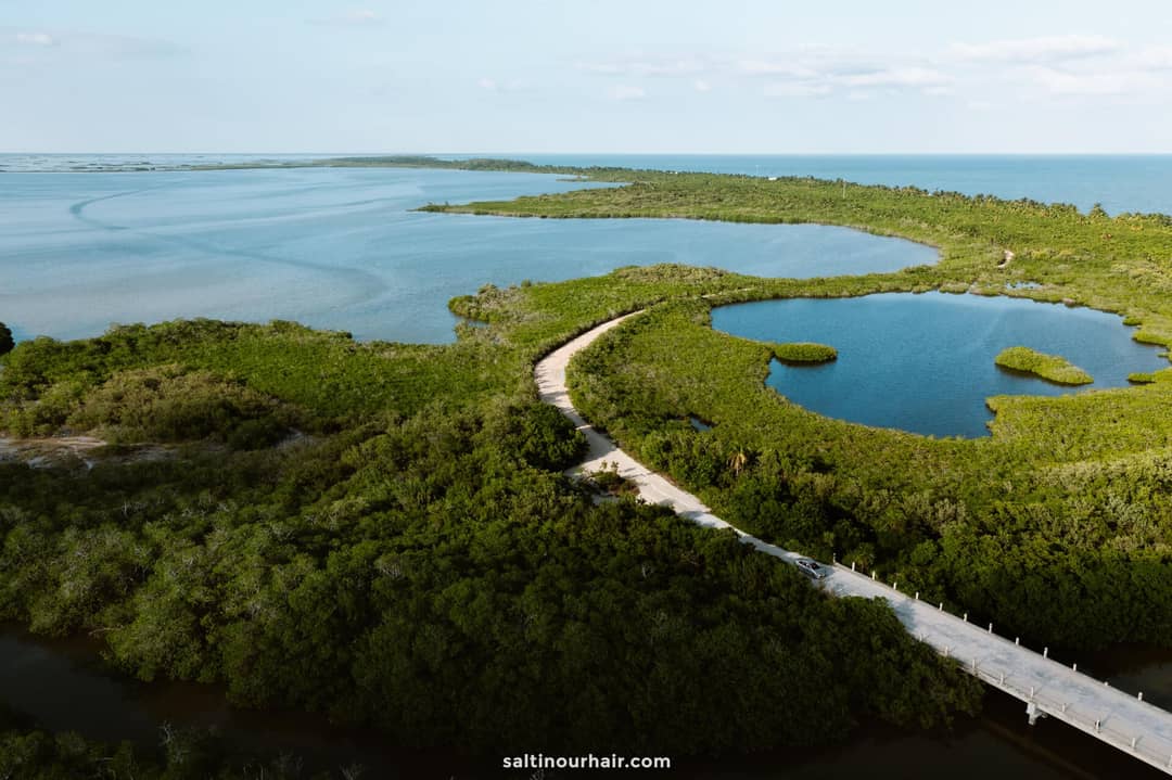 A winding road passes through dense green mangroves alongside a large body of water under a blue sky—one of the scenic things to do in Mexico’s stunning Sian Ka’an Bio Reserve.