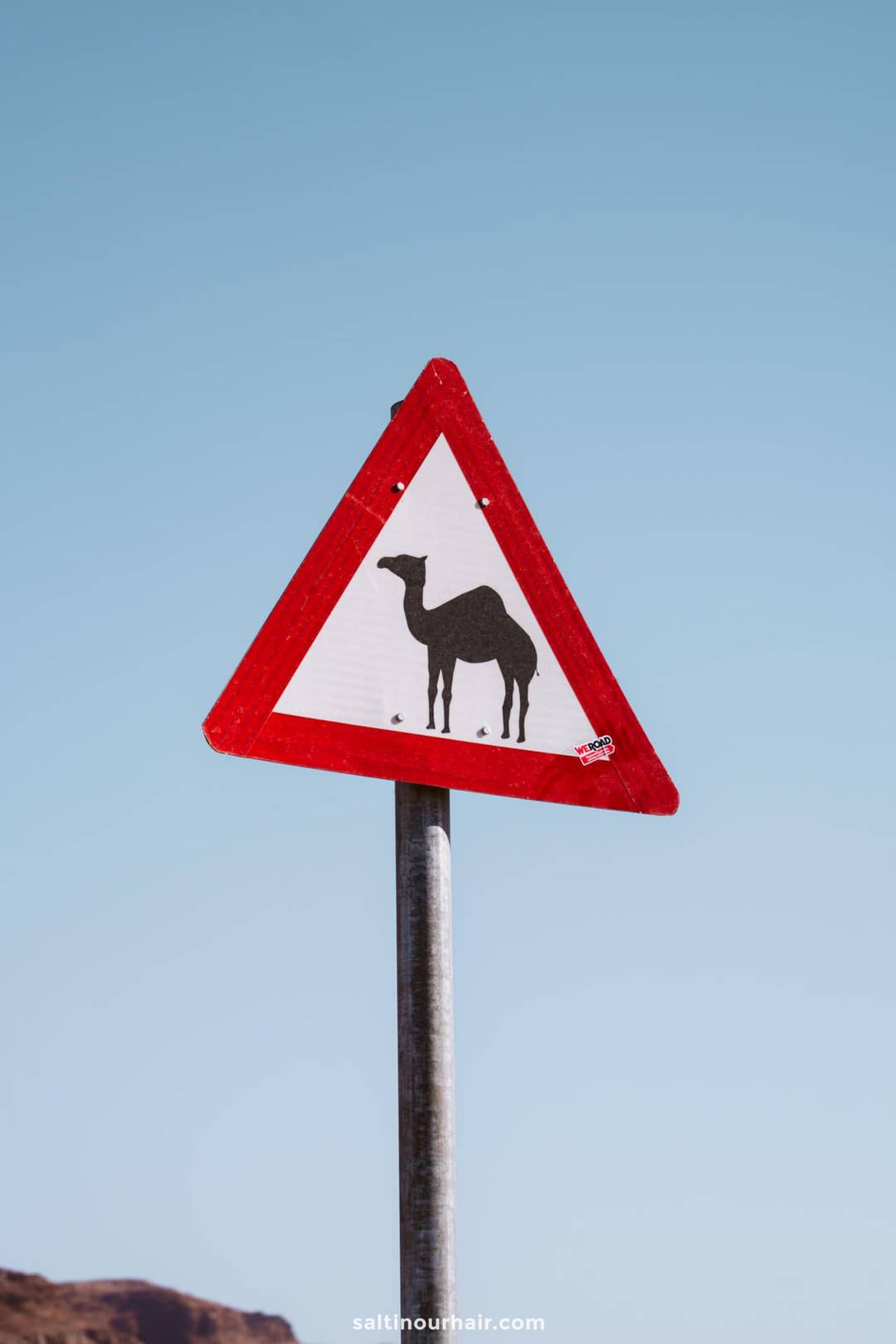 watch out for camels crossing the road sign jordan