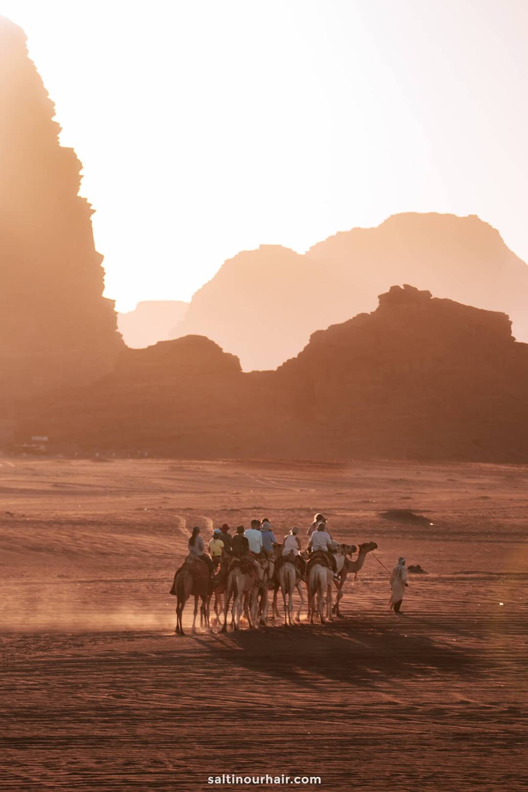 renting a car in Jordan camels desert