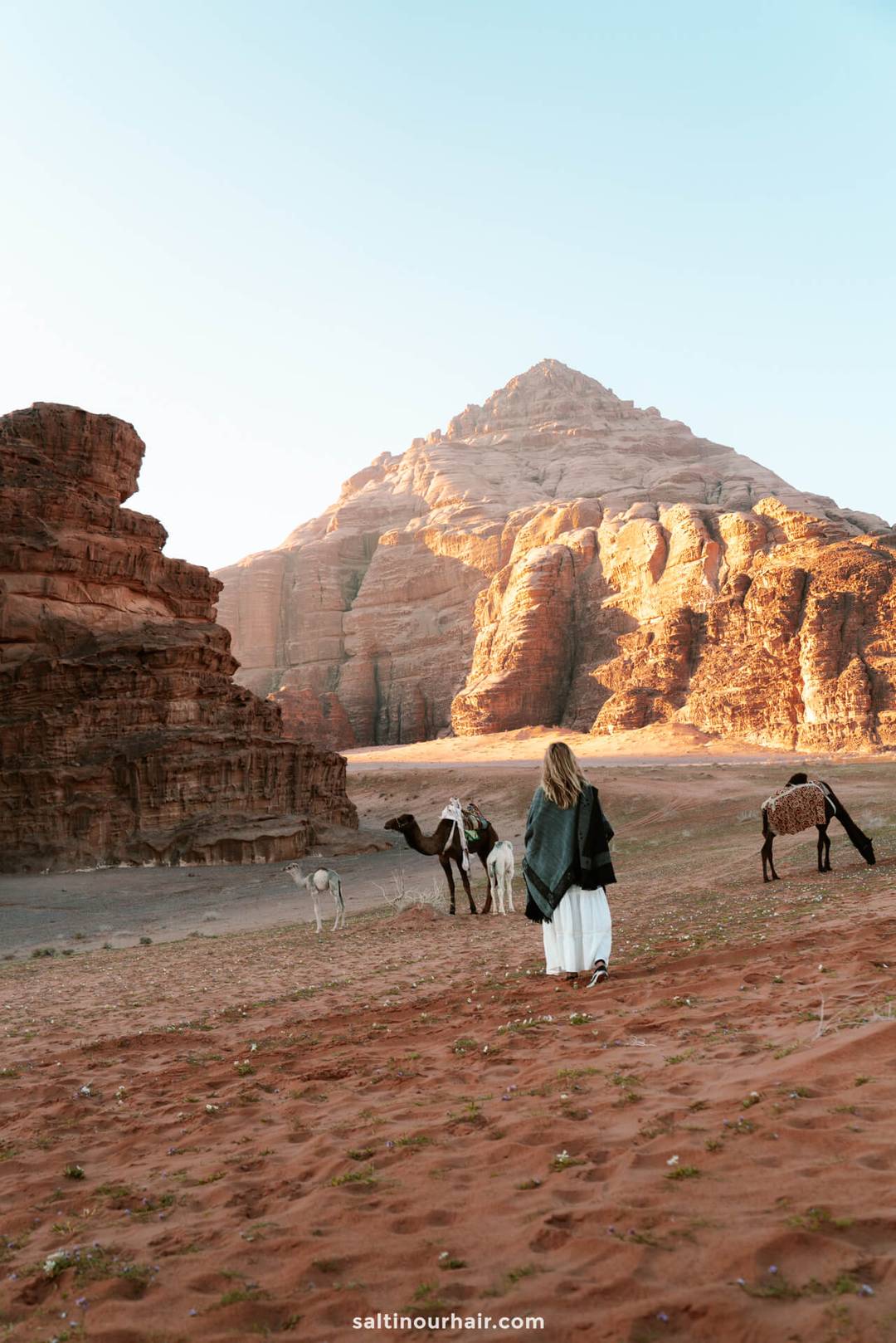 what do you need renting a car in Jordan