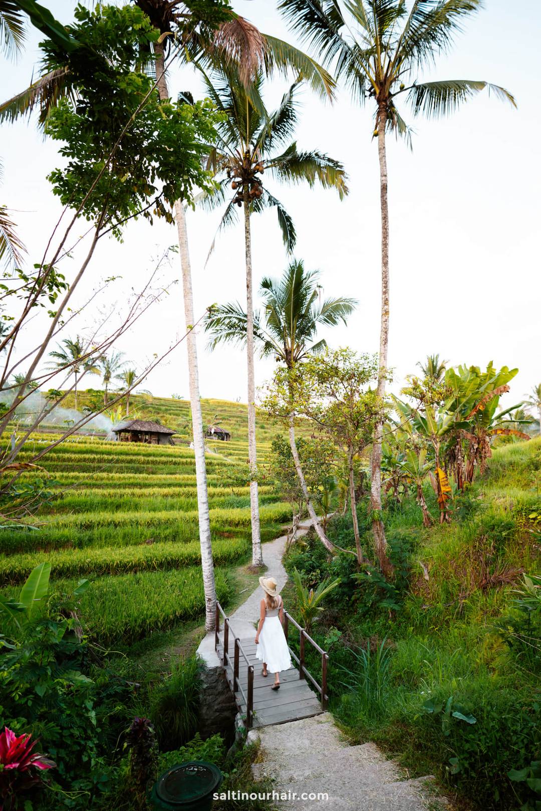 things to do bali 3-week route jatiluwih