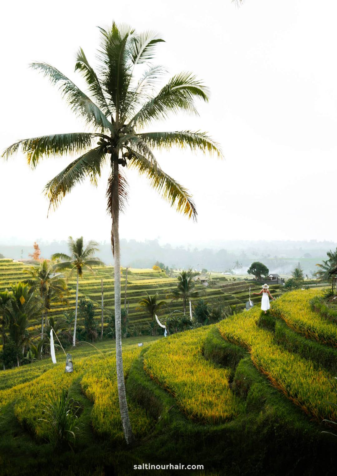 bali travel guide jatiluwih rice terraces