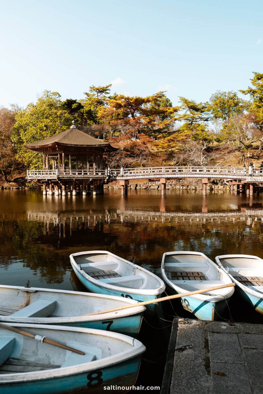 things to do osaka japan nara park