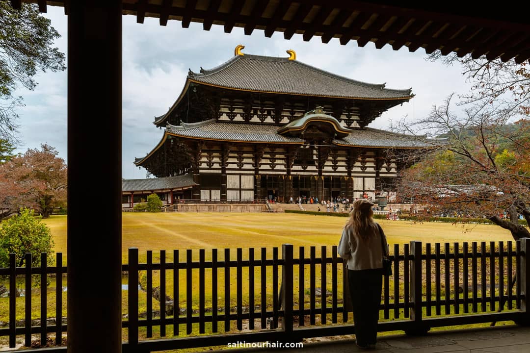 things to do in japan todai-ji wooden temple