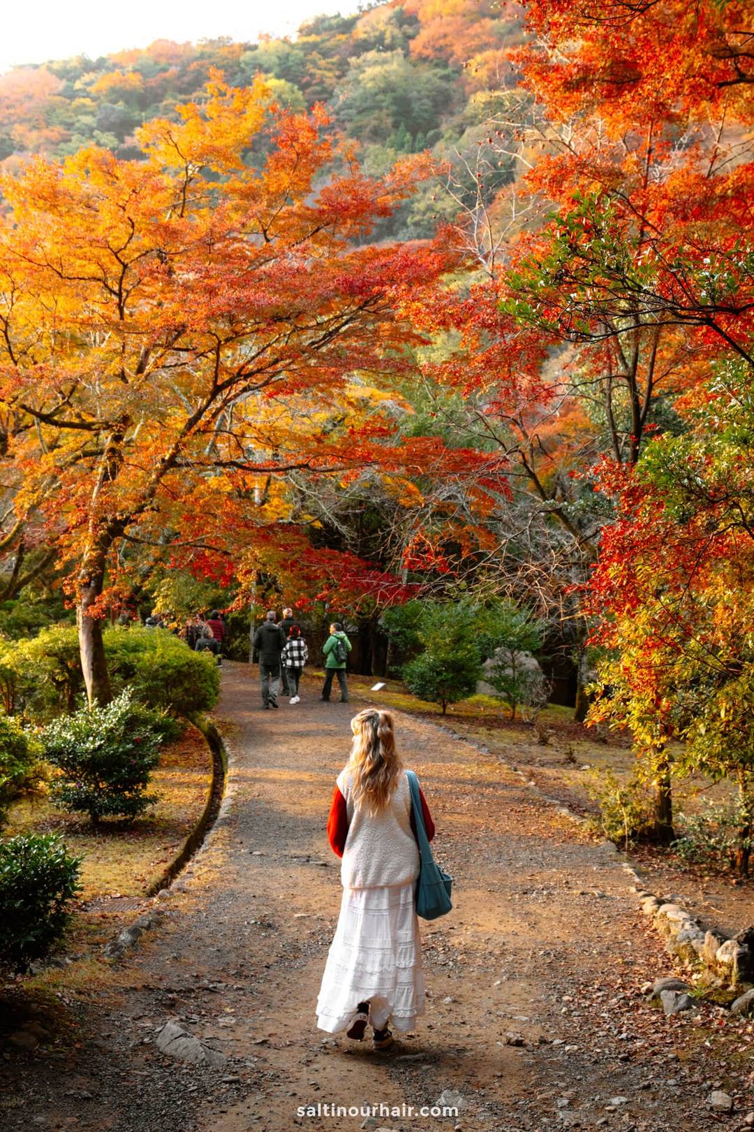 autumn in japan