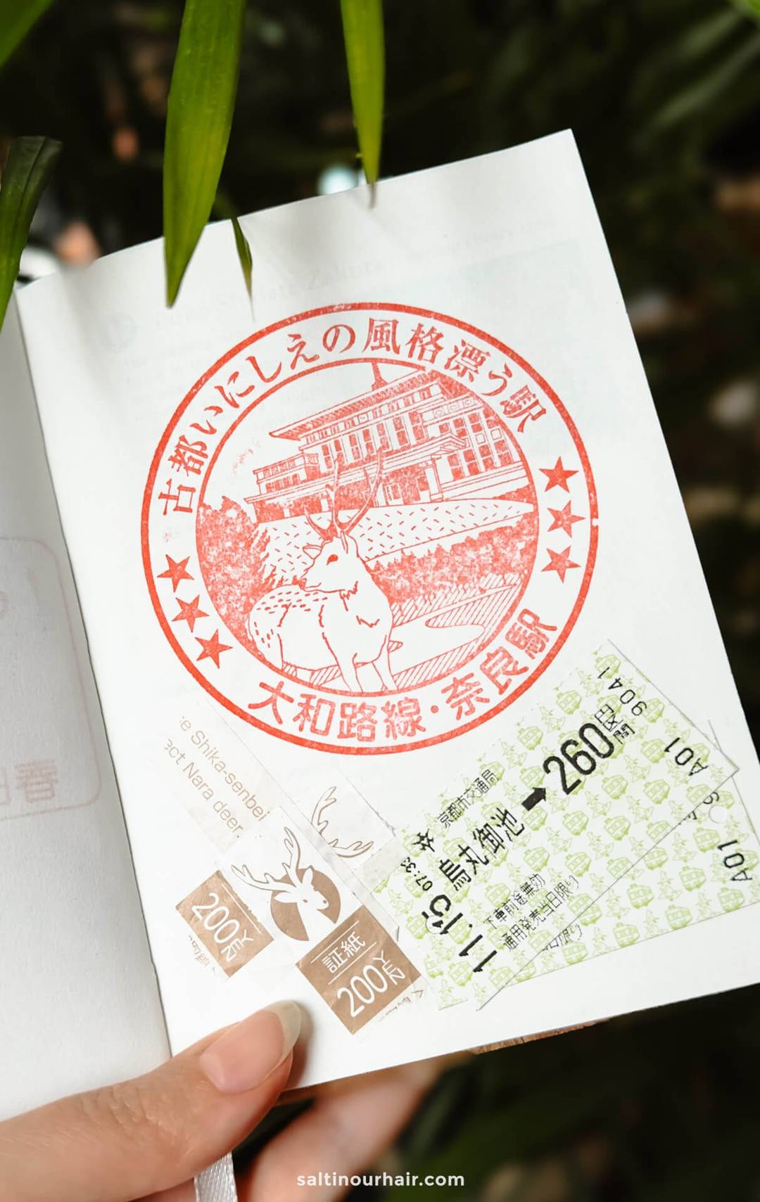 stamp nara park japan