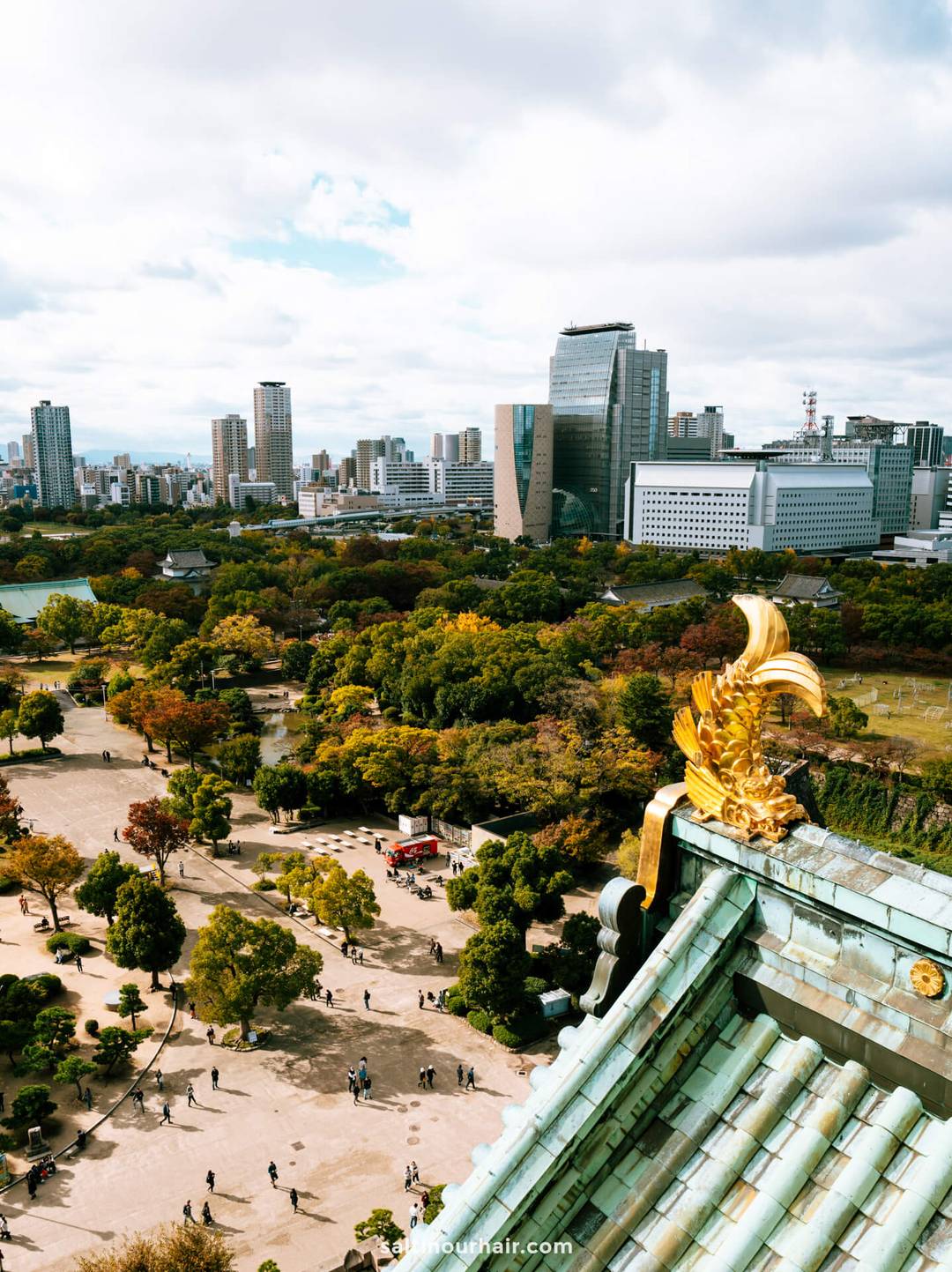 osaka castle view