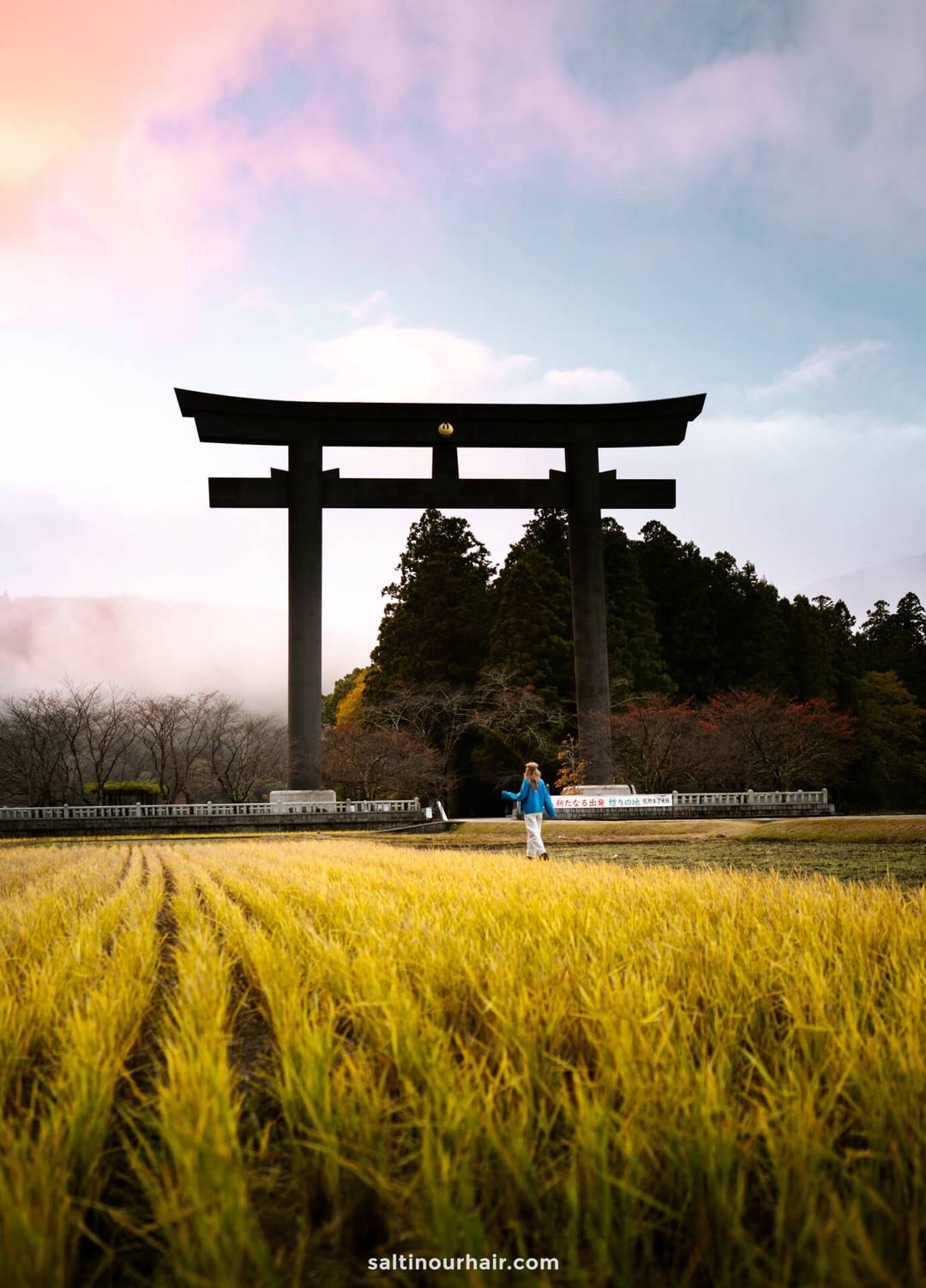 renting a car in Japan country side shrine