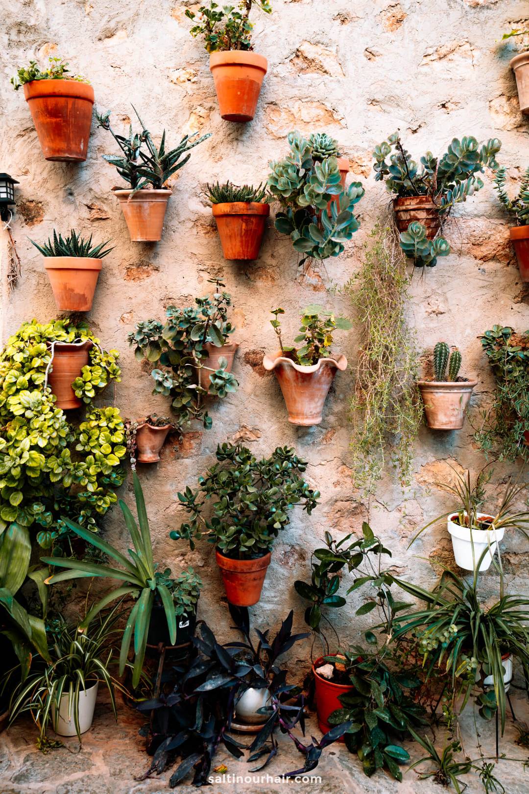 leuke plantenpotten