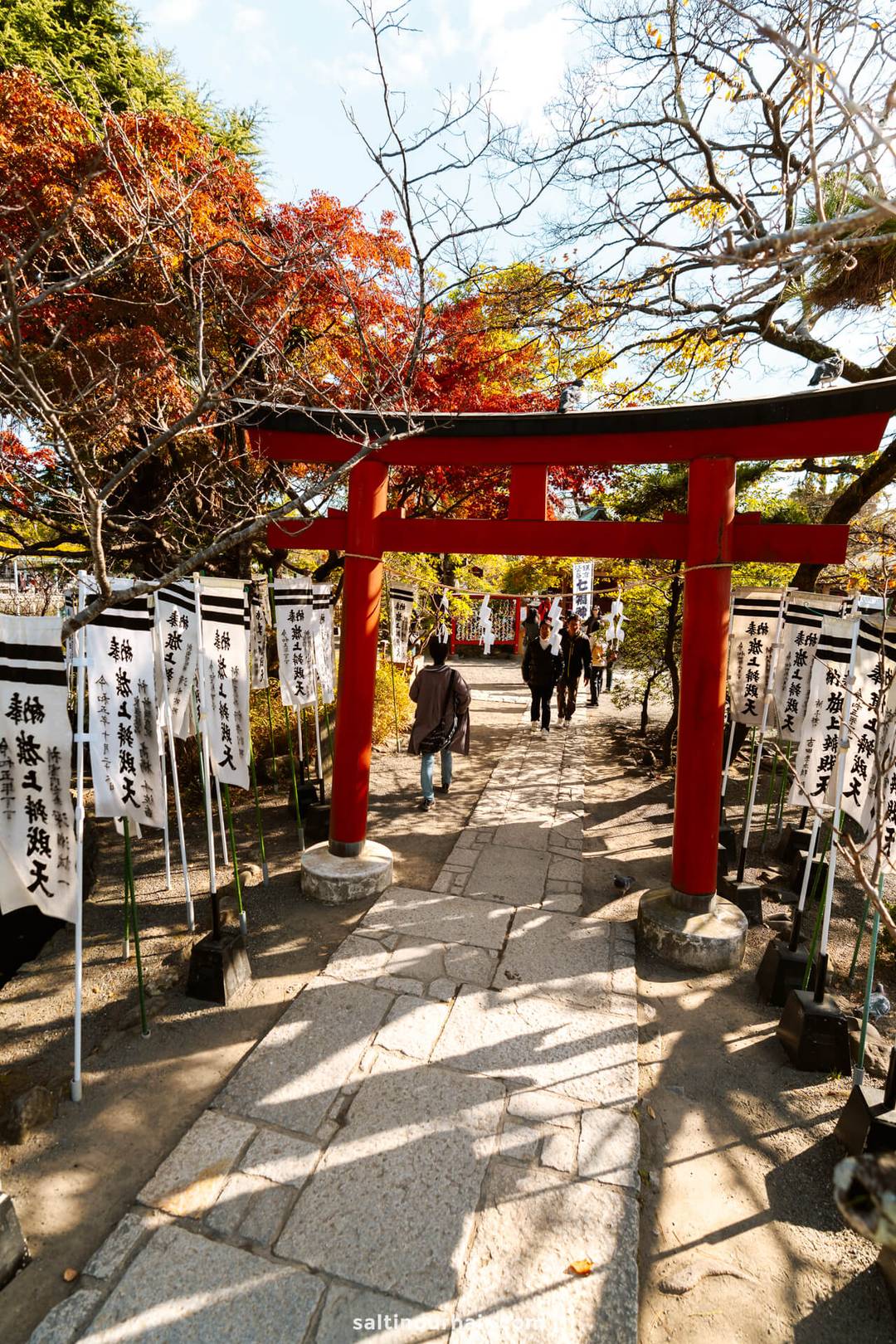 tori gate Tsurugaoka Hachimangū sunset Kamakura Japan