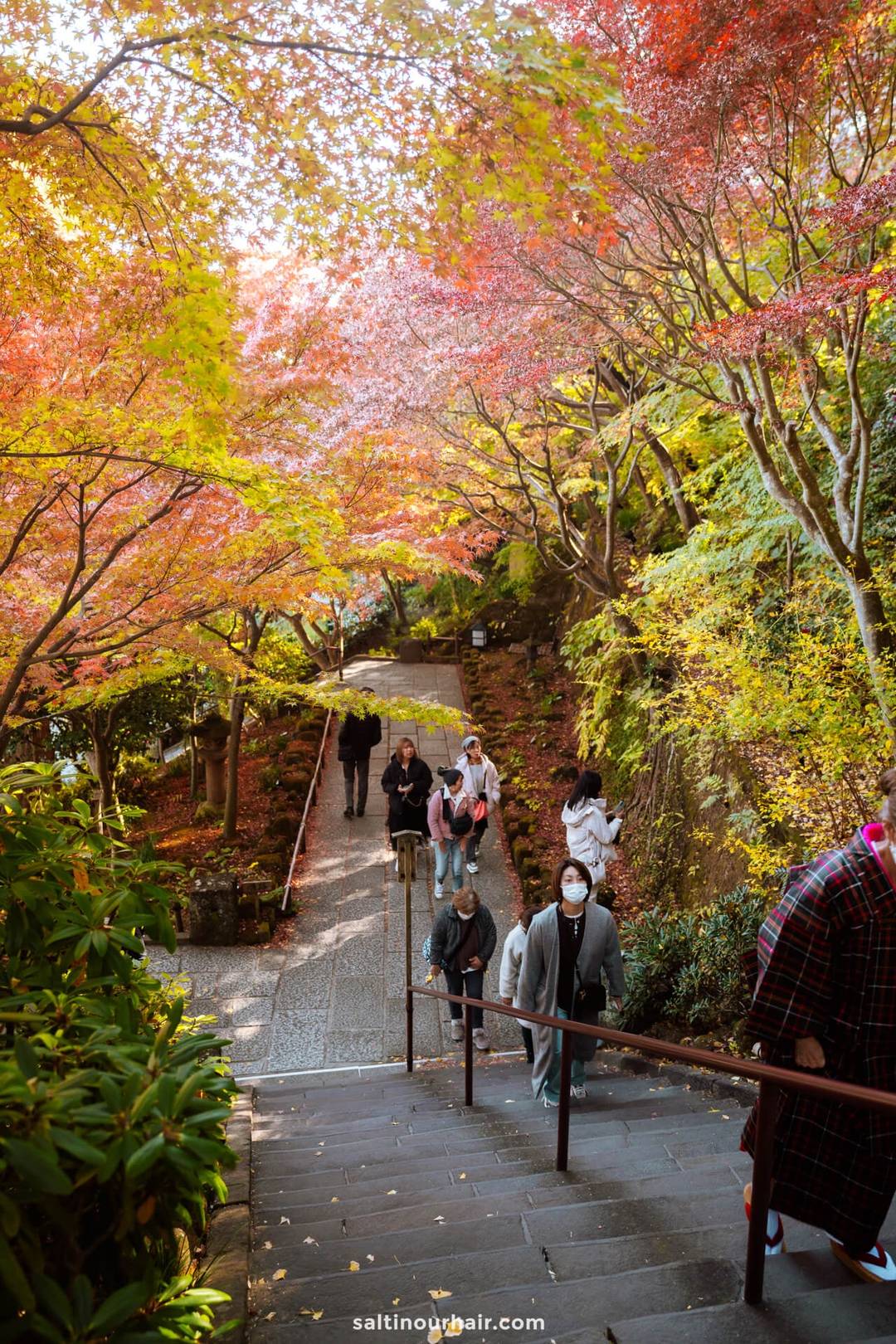 hasedera temples Kamakura Japan garden