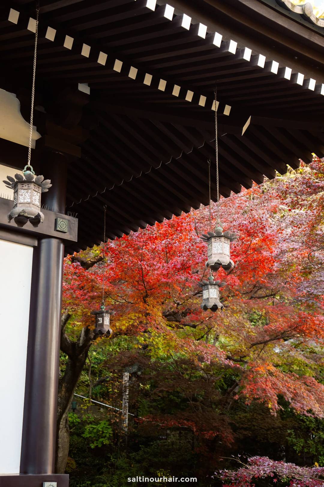 Three traditional hanging lanterns beneath a wooden roof, with vibrant red and green foliage capturing the essence of autumn in Japan in the background.