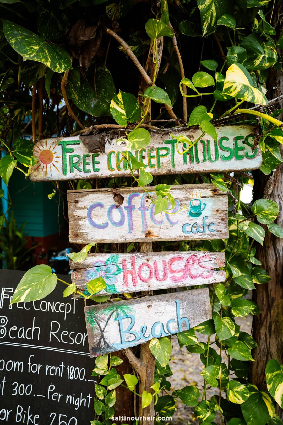 Beste caf&eacute;s en restaurants Koh Phangan Thailand