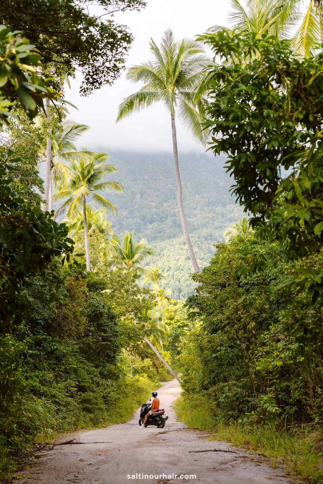 Pad Bottle Beach Viewpoint 