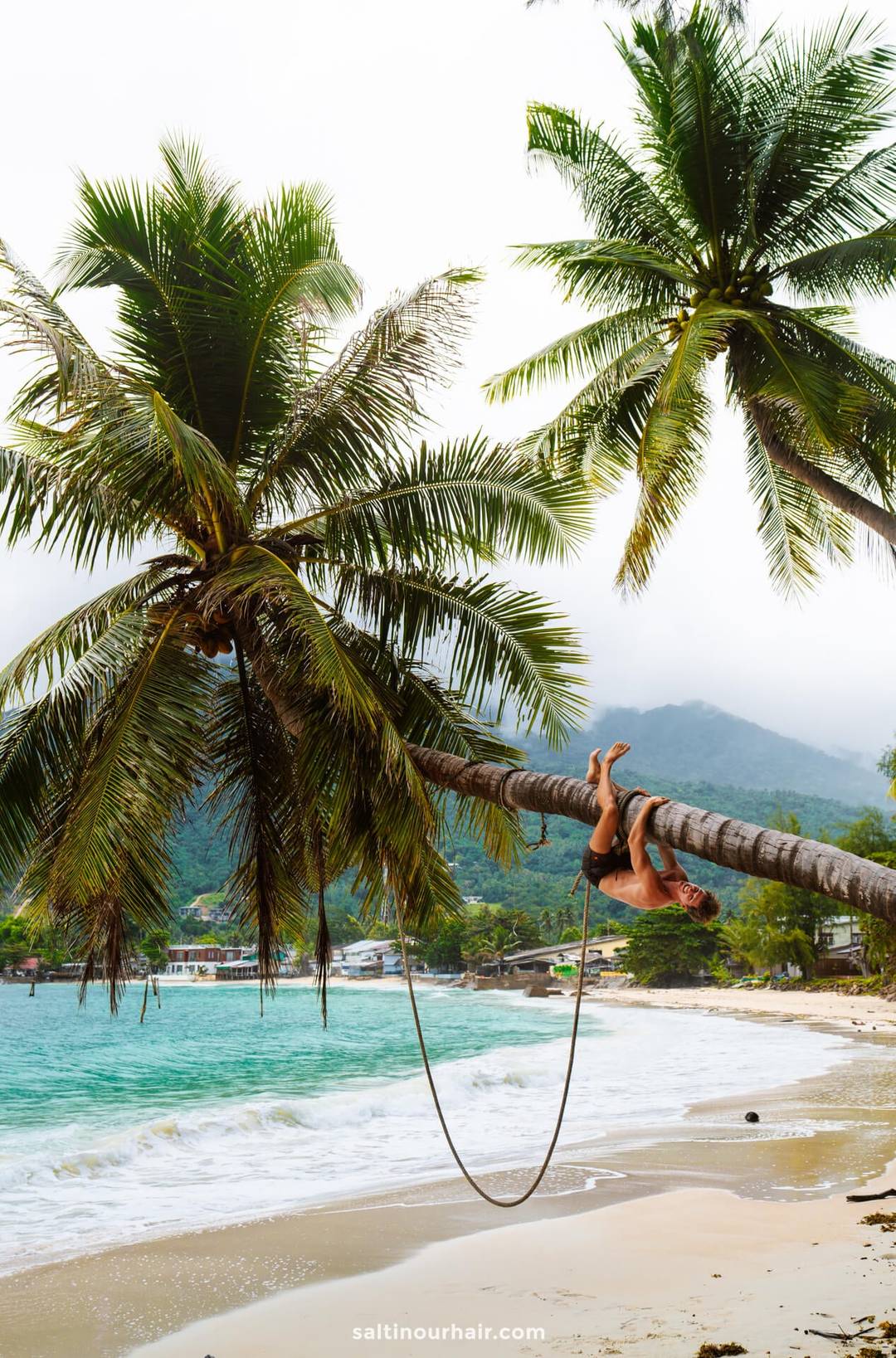 palmtree strand Koh Phangan thailand