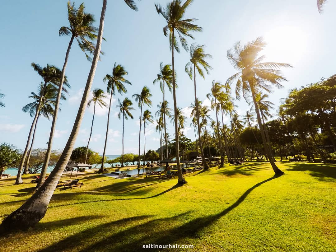dingen om te doen in Koh Phangan Thailand Palmtrees hotel