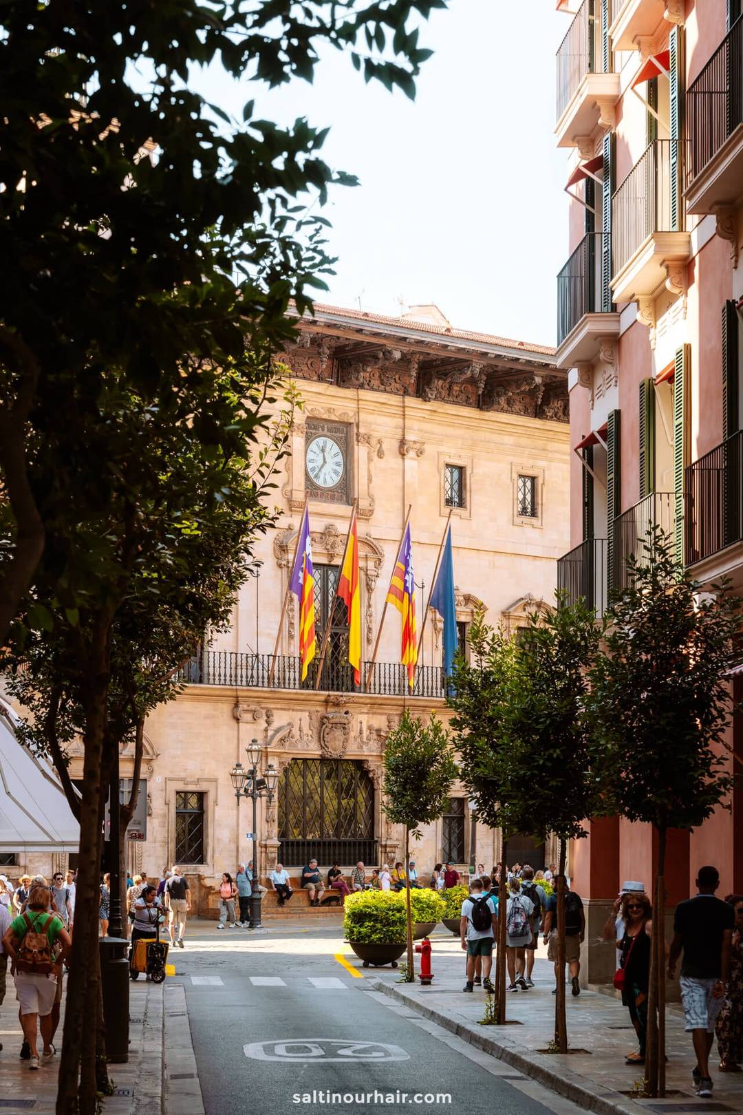 authentieke straat palma de mallorca