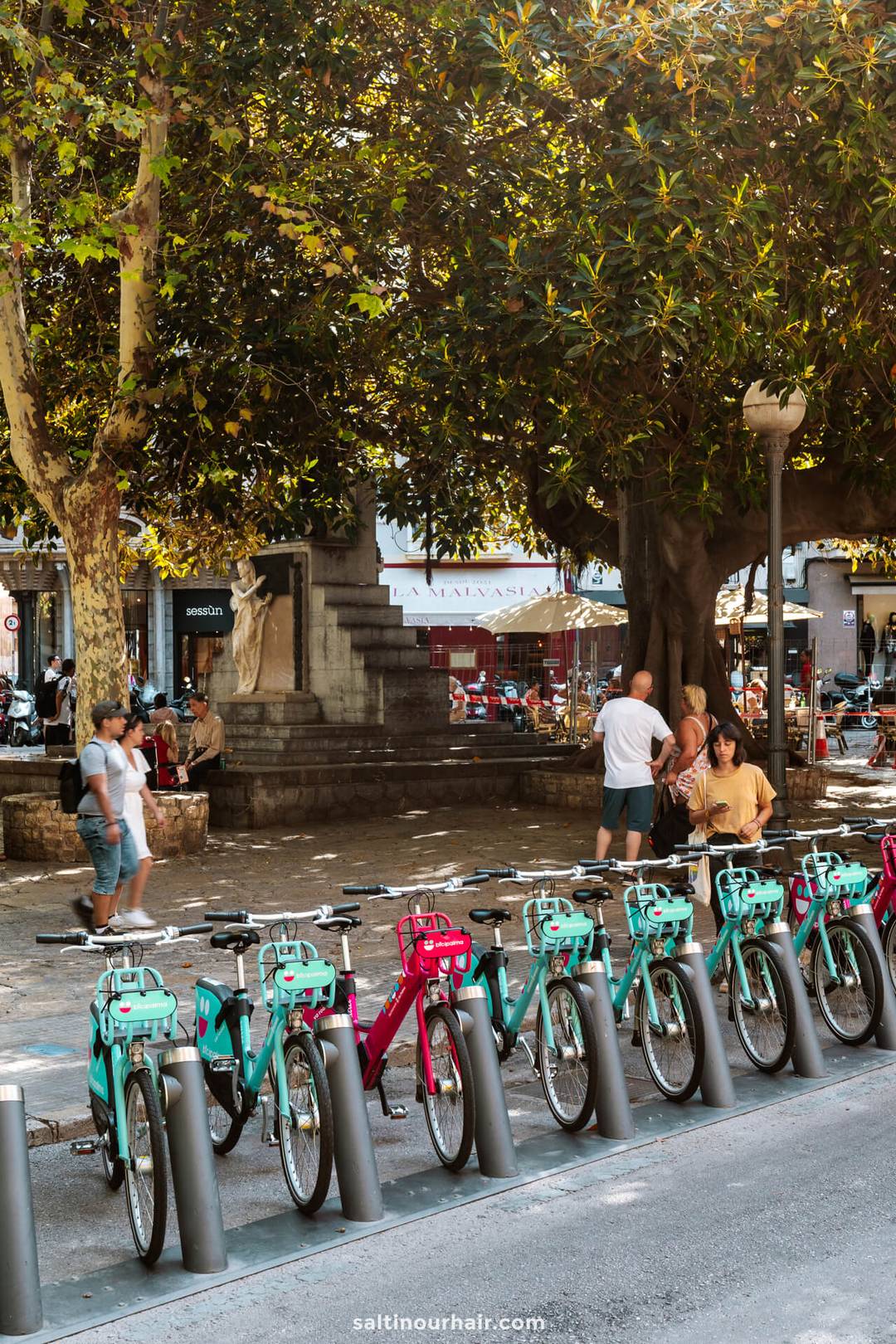 bicycles old town things to do in Palma