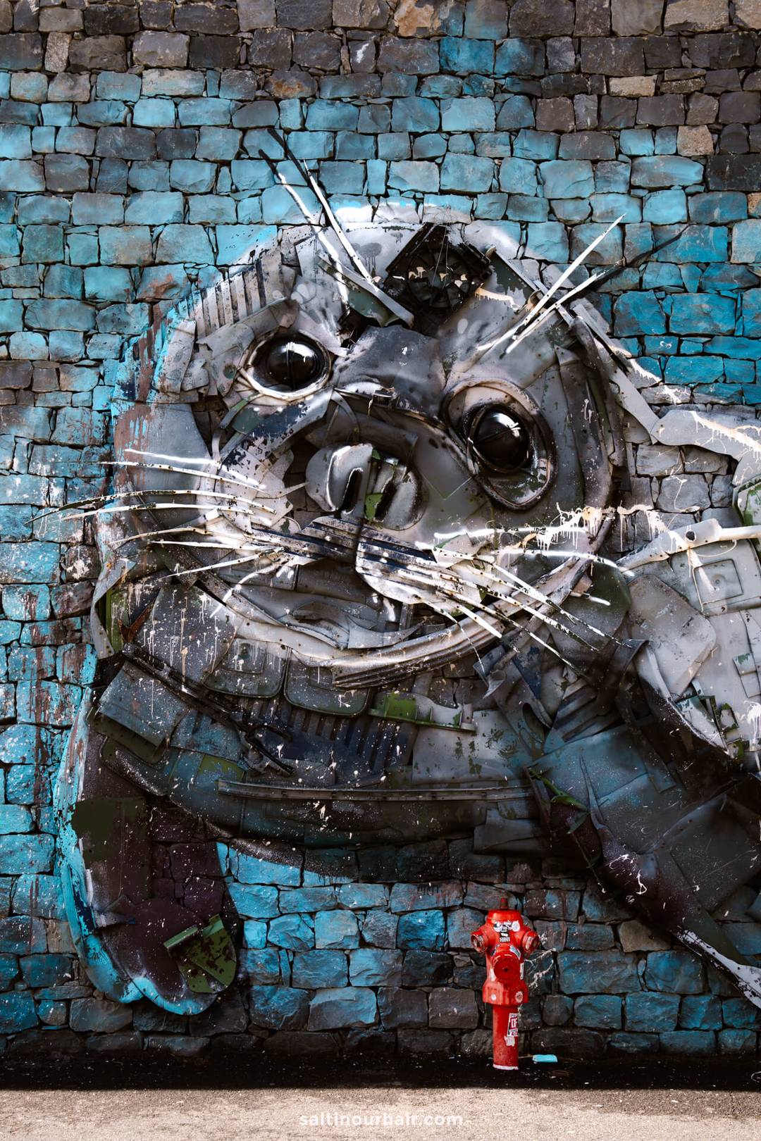 street art camara de lobos madeira