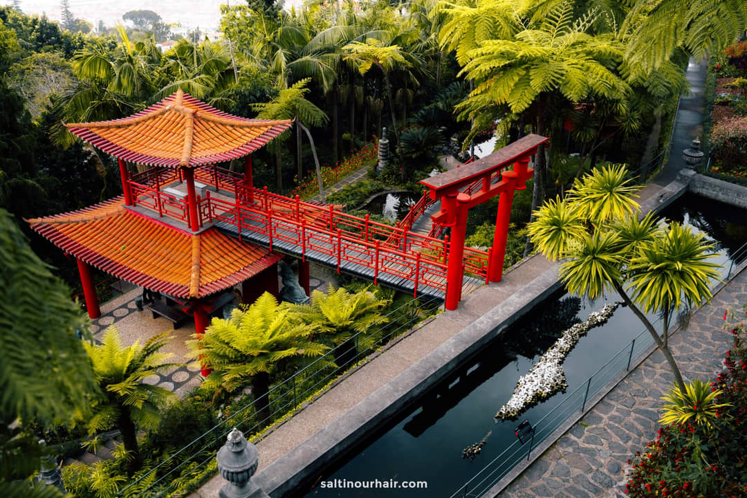 Monte Palace Gardens things to do madeira