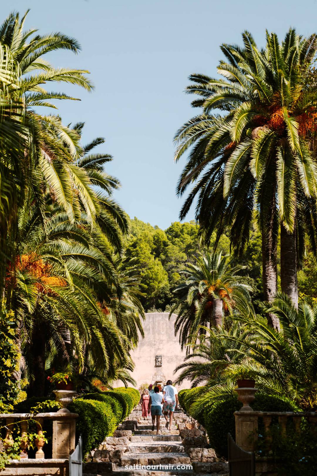 jardins d