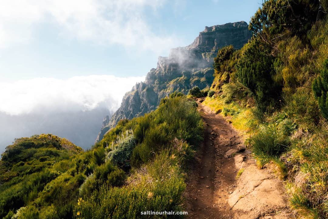 A dirt hiking trail winds through green vegetation along a mountain ridge, with clouds and rocky cliffs in the background—a breathtaking view well worth the Madeira hike fees.