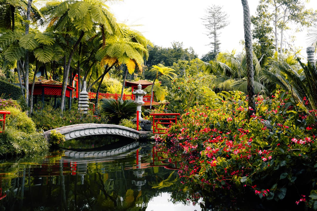 japanese garden monte palace funchal madeira